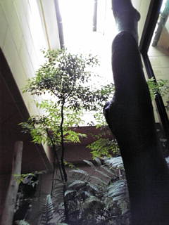 20110621090031.jpg